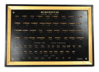 Fine Winchester Collectem Cartridge Board