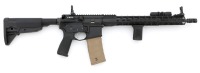 Custom Palmetto State Armory PA-15 Semi-Auto Carbine