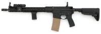 Custom Palmetto State Armory PA-15 Semi-Auto Carbine - 2