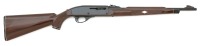 Remington Nylon 66 Semi-Auto Rifle