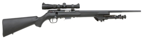 Savage Model 93R17 Bolt Action Rifle