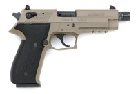 Sig Sauer Mosquito Semi-Auto Pistol