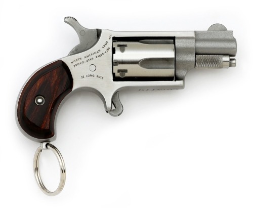 North American Arms NAA-22 LR Mini Revolver