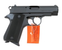 American Arms PK Semi-Auto Pistol