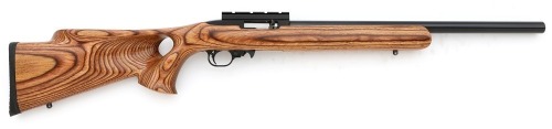 Custom Ruger 10/22 Semi-Auto Carbine