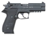 Sig Sauer Mosquito Semi-Auto Pistol