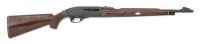 Remington Nylon 66 Semi-Auto Rifle