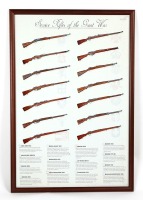 Service Rifles of the Great War Framed Print