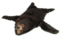 Vintage Black Bear Rug