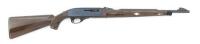 Remington Nylon 66 Semi-Auto Rifle