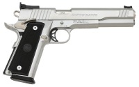 Para USA Hi-Cap Super Hawg Semi-Auto Pistol