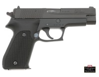 Sig Sauer Model P220 Semi-Auto Pistol