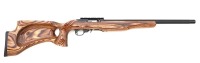 Custom Ruger 10/22 Semi-Auto Target Rifle