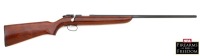 Remington 510 Targetmaster Smoothbore Shot “Rifle”