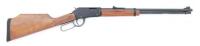 Henry Arms Co. Varmint Express Lever Action Rifle