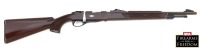 Remington Nylon 12 Bolt Action Rifle