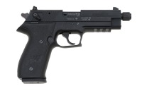 Sig Sauer Mosquito Semi-Auto Pistol