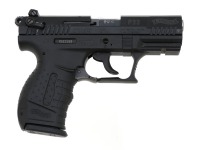 Walther P22 Semi-Auto Pistol