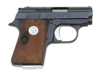 Colt 25 Semi-Auto Pistol