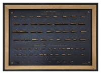 Fine Remington Collectem Cartridge Board