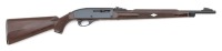 Remington Nylon 66 Semi-Auto Rifle
