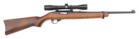 Ruger 10/22 Semi-Auto Rifle