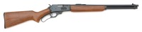 J.C. Higgins Sears Model 45 Lever Action Rifle