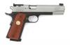 Kimber Rimfire Target Semi-Auto Pistol