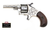 Lot of Fifteen Antique Guns - 9