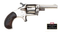 Lot of Fifteen Antique Guns - 12
