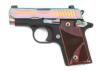 Sig Sauer P238 Rainbow Semi-Auto Pistol