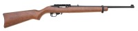 Ruger 10/22 Semi-Auto Carbine