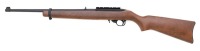 Ruger 10/22 Semi-Auto Carbine - 2