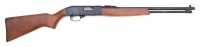 Ted Williams Model 3T Semi-Auto Rifle