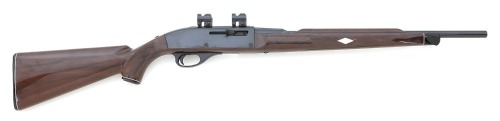 Remington Nylon 66 Semi-Auto Rifle