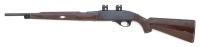 Remington Nylon 66 Semi-Auto Rifle - 2