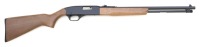 Winchester Model 190 Semi-Auto Rifle