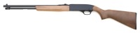 Winchester Model 190 Semi-Auto Rifle - 2