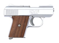 Raven MP-25 Semi-Auto Pistol