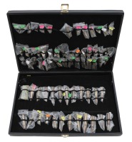 Collectible Ammunition