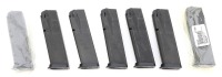 Sig P229 Magazines