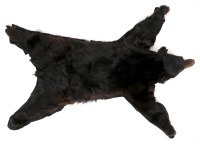 Black Bear Rug