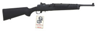 Low-Number Ruger &ldquo;NRA-ILA&rdquo; Ranch Semi-Auto Rifle