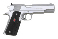 Colt Delta Gold Cup Semi-Auto Pistol