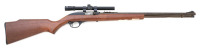 Marlin Model 60 Semi-Auto Rifle