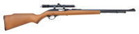 Marlin Model 60 Semi-Auto Rifle