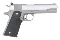 AMT Hardballer Semi-Auto Pistol