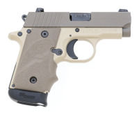 Sig Sauer P238 Semi-Auto Pistol - 2